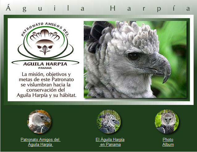 Aguila+arpia+caracteristicas